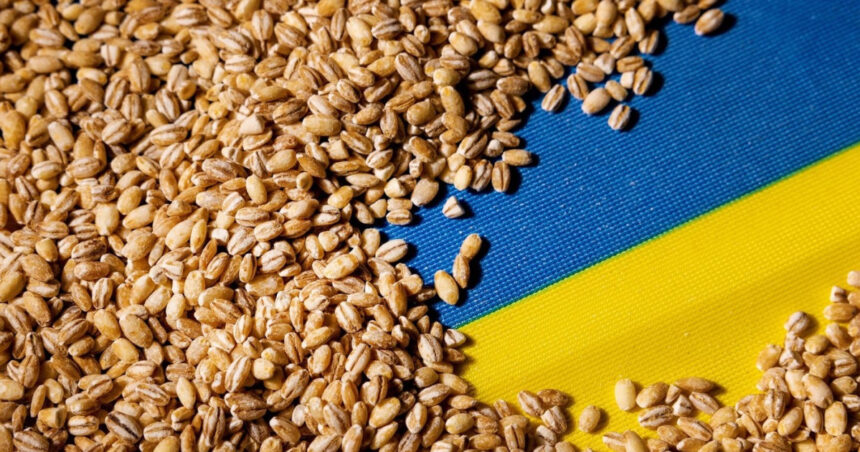portul constanta esential in exportul cerealelor ucrainene kievul vrea coridor prin republica moldova reuters 6a7ae684e5209