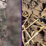 purtatorul de cuvant al nato despre drona doborata in judetul galati pare sa fie ruseasca 6a818bdbec401