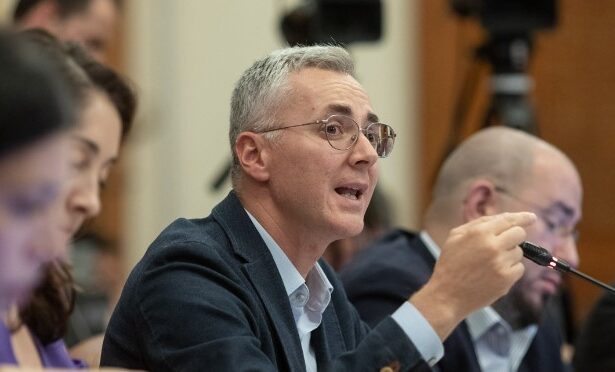 razboi politic pe strategia pentru biodiversitate stelian ion usr pesedistii sacrifica mediul si fondurile europene pentru interesele lor de grup 6a73528b60044