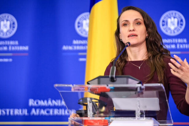 reactia ministrului de externe dupa drona doborata in galati am informat toti aliatii vom continua sa actionam coordonat 6a81aba838695