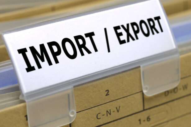 romania a redus cu 2 deficitul comercial in prima jumatate a anului cum au evoluat exporturile si importurile 6a79b6a1bdabc