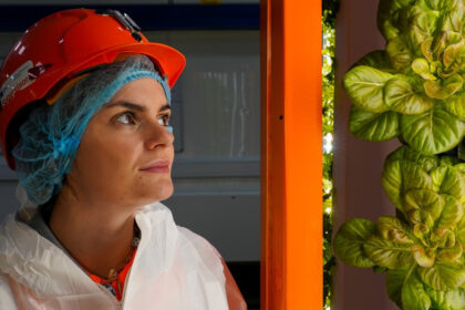 salata cultivata in subteran si ferme la peste 1 000 de metri adancime cum incearca cercetatorii britanici sa rezolve criza alimentara 6a89fe229d14a