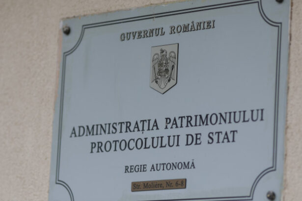 seful sgg anunta criterii de performanta pentru ra apps conducerea va raspunde pentru rezultate 6a8c9316bdac3