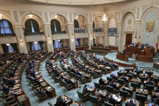 strategia pentru biodiversitate jalon din pnrr a fost adoptata de senat diana buzoianu psd si aur au votat amendamente aberante 6a720cf38e234