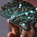 test de cultura generala care este diferenta dintre neural si neuronal 6a72ef86dab4f