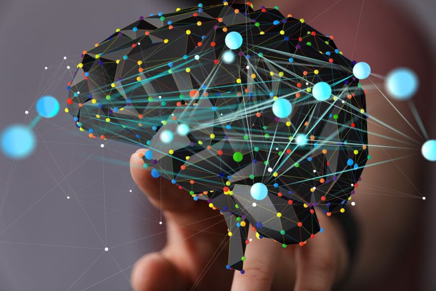 test de cultura generala care este diferenta dintre neural si neuronal 6a72ef86dab4f