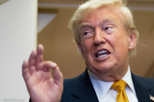 trump propune o taxa de peste 100 000 de dolari pentru vizele de munca ale strainilor calificati 6a8d26928d252
