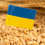 ucraina cere ue un ajutor de 220 de milioane de euro pentru agricultorii afectati de razboi si seceta 6a7e93799a2e9