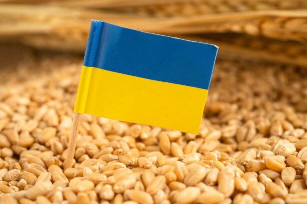 ucraina cere ue un ajutor de 220 de milioane de euro pentru agricultorii afectati de razboi si seceta 6a7e93799a2e9
