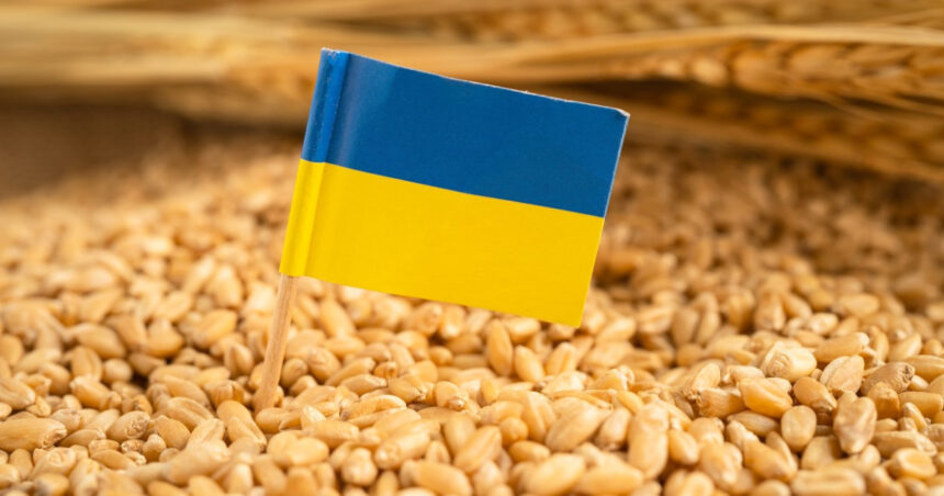 ucraina cere ue un ajutor de 220 de milioane de euro pentru agricultorii afectati de razboi si seceta 6a7e93799a2e9