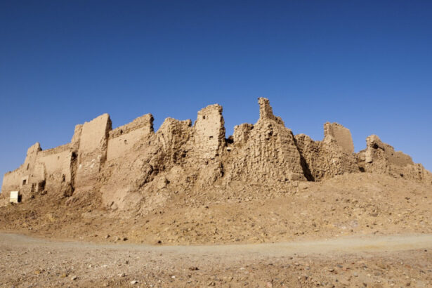 un cimitir de rechini preistorici descoperit in desertul egiptului sapte specii au fost identificate 6a89f725670f7