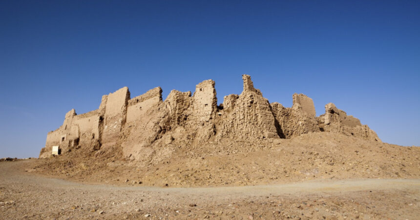 un cimitir de rechini preistorici descoperit in desertul egiptului sapte specii au fost identificate 6a89f725670f7
