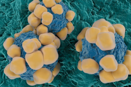 un ingredient activ din viagra ar putea limita raspandirea cancerului studiu 6a7188d0e0381