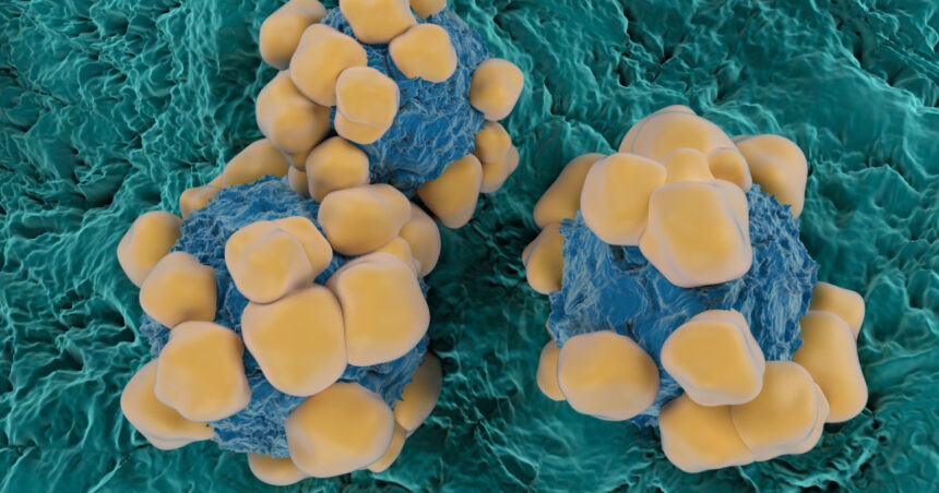 un ingredient activ din viagra ar putea limita raspandirea cancerului studiu 6a7188d0e0381