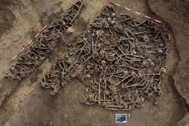 un mormant comun cu cel putin 129 de barbati a fost descoperit langa viena cine au fost victimele unei confruntari romane necunoscute 6a8c7a8f4acec