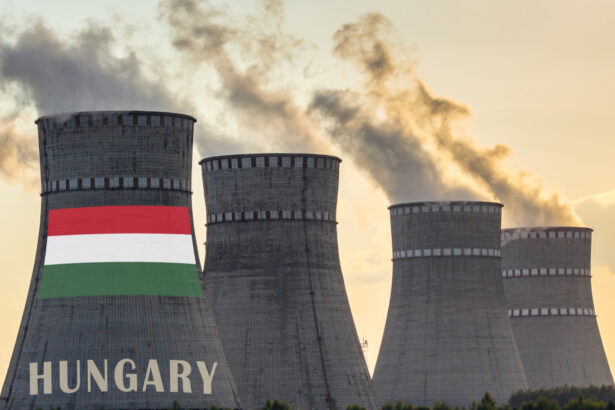ungaria reconecteaza o turbina a centralei nucleare de la paks cu cat a crescut nivelul dunarii 6a79d7c560a36