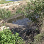 video bomba ecologica la marginea orasului apele uzate de la o statie de epurare din targu jiu ajung direct in rau localnicii cer masuri 6a79aa10dfe24