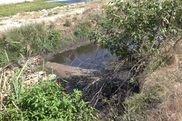 video bomba ecologica la marginea orasului apele uzate de la o statie de epurare din targu jiu ajung direct in rau localnicii cer masuri 6a79aa10dfe24
