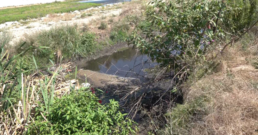 video bomba ecologica la marginea orasului apele uzate de la o statie de epurare din targu jiu ajung direct in rau localnicii cer masuri 6a79aa10dfe24
