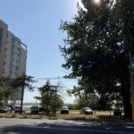 video cine este afacerista care vrea sa ridice un bloc cu 7 etaje in mamaia peste drum de hotelul iaki 6a8794ca6ca0f