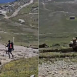 video cu trotinetele pe munte doi turisti au fost surprinsi urcand pe platoul bucegi cu vehiculele pe doua roti 6a734e9096627