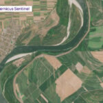 video dezastrul de pe dunare vazut din satelit imagini cu fluviul inainte si dupa ce a fost afectat de seceta 6a73326586375