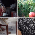 video dulceata de rosii cu nuci si lamaie noul desert de sezon cu iz italian cum se prepara deliciul care face furori printre gospodine 6a8e667b7504b