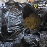 video grupare de trafic de droguri coordonata din penitenciar la constanta sase persoane au fost arestate preventiv 6a8aee9862d6f