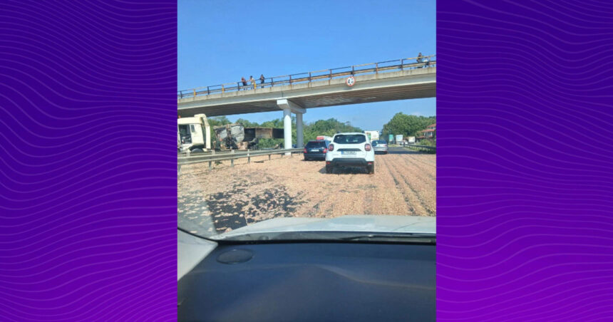 video haos pe a1 bucuresti pitesti un tir incarcat cu carne de pui a lovit un picior de pod iar marfa s a imprastiat pe sosea 6a7c3ed2b4afd