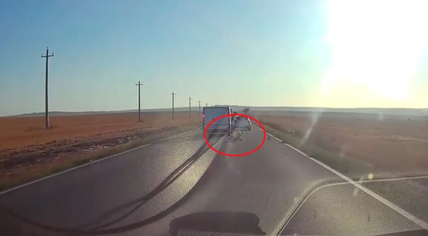 video imagini socante un copil a cazut dintr o masina aflata in mers in tulcea trecea un tir 6a7ad88a7bb5b