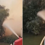 video incendiu puternic in delta dunarii raed arafat interventia pe apa este esentiala focul ameninta fondul forestier 6a8354e274765