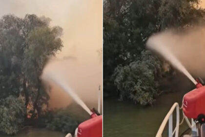 video incendiu puternic in delta dunarii raed arafat interventia pe apa este esentiala focul ameninta fondul forestier 6a8354e274765