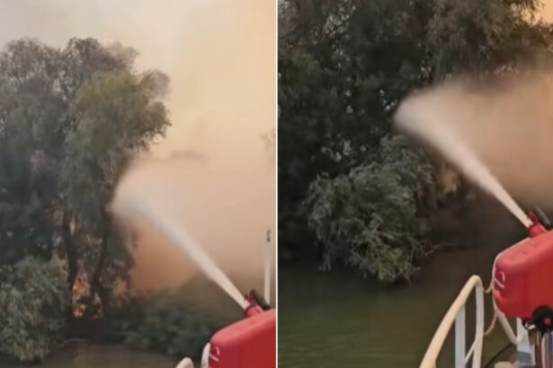 video incendiu puternic in delta dunarii raed arafat interventia pe apa este esentiala focul ameninta fondul forestier 6a8354e274765