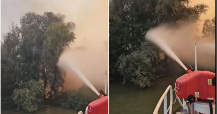 video incendiu puternic in delta dunarii raed arafat interventia pe apa este esentiala focul ameninta fondul forestier 6a8354e274765