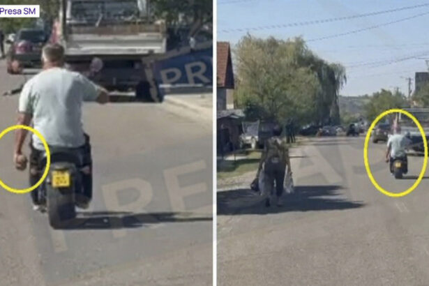 video obuz transportat cu scuterul pana la politie in satu mare viceprimarul unei comune l a carat in mana 6a959552c3fce