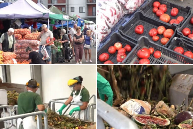 video orasul care transforma resturile alimentare in curent electric deseurile organice sunt colectate direct din piete devin o resursa 6a8fd41f3bf5c