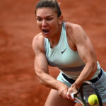video simona halep inspira cel mai iute ardei romanesc povestea soiului care ajunge la congresul de horticultura din japonia 6a8c4cac7a331
