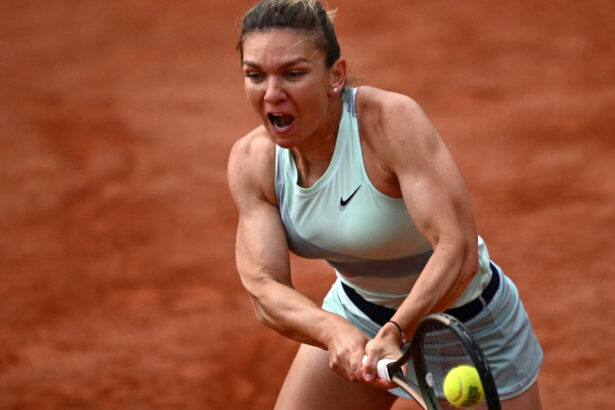 video simona halep inspira cel mai iute ardei romanesc povestea soiului care ajunge la congresul de horticultura din japonia 6a8c4cac7a331