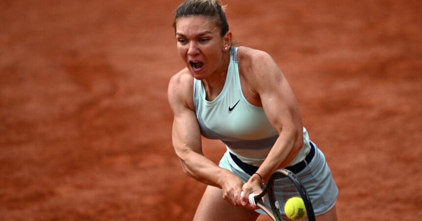 video simona halep inspira cel mai iute ardei romanesc povestea soiului care ajunge la congresul de horticultura din japonia 6a8c4cac7a331
