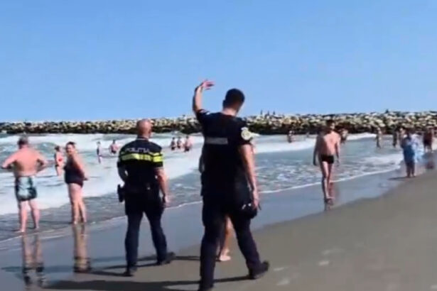 video turistii au ignorat steagul rosu si au intrat in mare politistii si jandarmii au intervenit pe litoral 6a7de8641d100