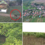 video ziua si ro alert ul in harghita din cauza ursilor oamenii au ajuns la capatul rabdarii ca primar n ar trebui sa alerg dupa urs 6a9270804b74d