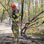 videofoto pompierii romani mobilizati in serbia pentru stingerea unui incendiu de vegetatie interventie dificila intr o zona de 34 de hectare 6a8efa8a91bf5