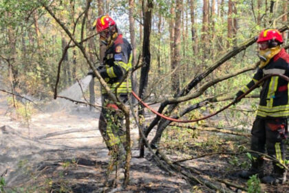 videofoto pompierii romani mobilizati in serbia pentru stingerea unui incendiu de vegetatie interventie dificila intr o zona de 34 de hectare 6a8efa8a91bf5