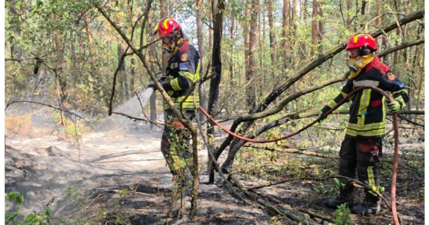 videofoto pompierii romani mobilizati in serbia pentru stingerea unui incendiu de vegetatie interventie dificila intr o zona de 34 de hectare 6a8efa8a91bf5