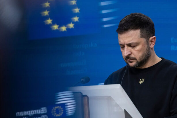 zelenski cere uniunii europene 30 de miliarde de euro sunt necesari pentru apararea intregii tari 6a8afb64ce781