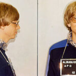 15 fapte aproape necunoscute despre bill gates dincolo de imaginea de miliardar filantrop 6a96eab038c37