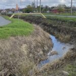 bani pentru pagubele produse de fenomenele extreme patru localitati din constanta primesc fonduri de la consiliul judetean 6ab58dd0a6ccb