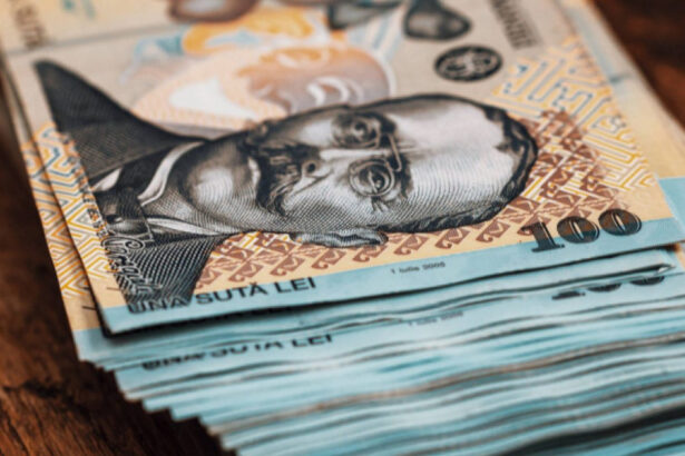 cat castiga sefii companiilor de stat unul depaseste 100 000 de lei pe luna si 104 cumuleaza venituri pentru mai multe functii 6ab50c7886ec1