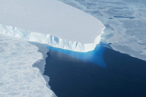 ce au descoperit oamenii de stiinta sub ghetarul apocalipsei din antarctica 6a9994b28e3d0