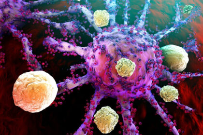cum supravietuiesc unele tipuri agresive de cancer cercetatorii spun ca au descoperit care este mecanismul 6ab8a1348ac3e